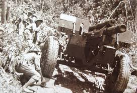 Bộ đội ta kéo pháo vào chiếm lĩnh trận địa trong chiến dịch Điện Biên Phủ